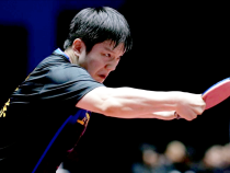 乒超联赛：樊振东豪取6连胜！王楚钦狂轰5个3-0，王曼昱首秀过关