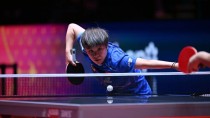 国乒遇挫！王艺迪、黄友政掉队，张本兄妹全胜晋级，篠塚大登淘汰张禹珍