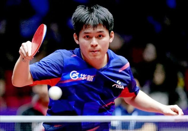 乒超联赛：樊振东豪取6连胜！王楚钦狂轰5个3-0，王曼昱首秀过关  第2张