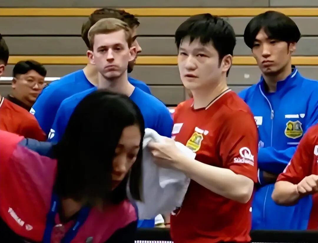 恭喜樊振东！德国杯开门红3-0横扫对手，近期已在欧洲连赢4场  第3张